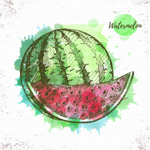 Watercolor watermelon sketch. Fresh fruit vector illustration — Stock Vector