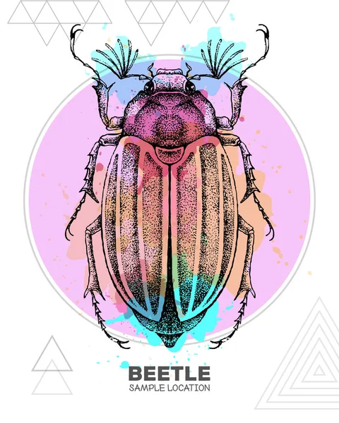 Escarabajo Realista Dibujado Mano Sobre Fondo Acuarela Insecto Artístico Ilustración — Vector de stock