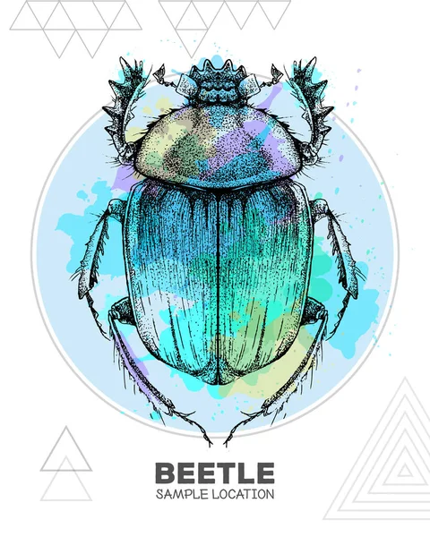 Mão Realista Desenho Escaravelho Scarabaeus Fundo Aquarela Bug Artístico Ilustração — Vetor de Stock