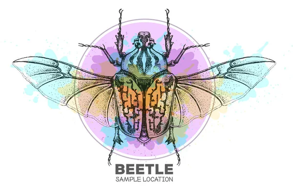 Escarabajo Realista Dibujando Mano Goliat Sobre Fondo Acuarela Insecto Artístico — Vector de stock
