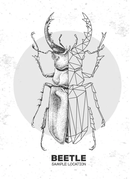 Realistyczny Rysunek Dłoni Wielokątny Żuk Jelenia Artystyczny Bug Ilustracja Wektora — Wektor stockowy