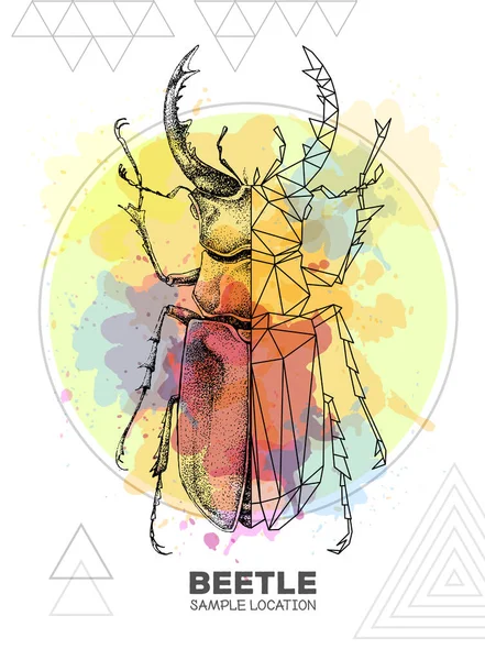 Dibujo Mano Realista Escarabajo Poligonal Ciervo Sobre Fondo Acuarela Insecto — Archivo Imágenes Vectoriales