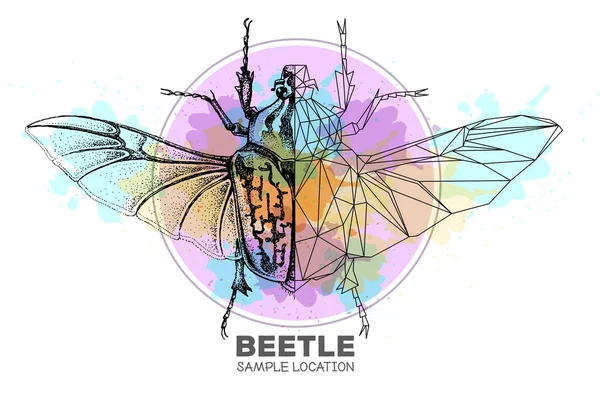 Disegno Mano Realistico Scarabeo Poligonale Golia Sfondo Acquerello Bug Artistico — Vettoriale Stock