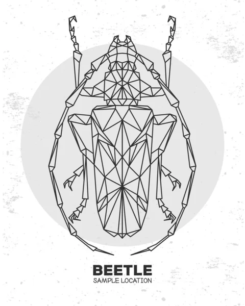 Abstrato Triângulo Poligonal Besouro Longhorn Bug Artístico Ilustração Vetorial Entomológica — Vetor de Stock