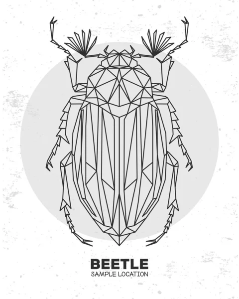 Abstrakcyjny Wielokątny Żuk Trójkątny Artystyczny Bug Ilustracja Wektora Entomologicznego — Wektor stockowy