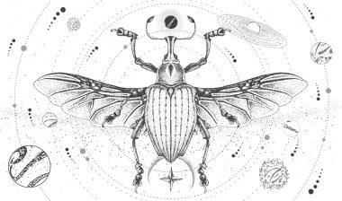 Güneş sistemi ve Curculionidae böceğiyle modern büyü kartı. El çizimi okült vektör çizimi