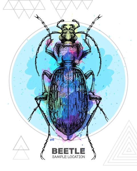 Scarabeo Terra Disegno Mano Realistico Sfondo Acquerello Bug Artistico Illustrazione — Vettoriale Stock