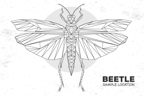 Saltamontes Triangulares Poligonales Abstractos Insecto Artístico Ilustración Del Vector Entomológico — Vector de stock