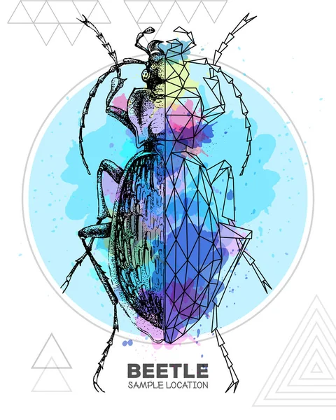 Dibujo Mano Realista Escarabajo Poligonal Sobre Fondo Acuarela Insecto Artístico — Vector de stock