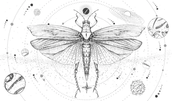 Tarjeta Brujería Mágica Moderna Con Sistema Solar Saltamontes Dibujo Mano — Vector de stock