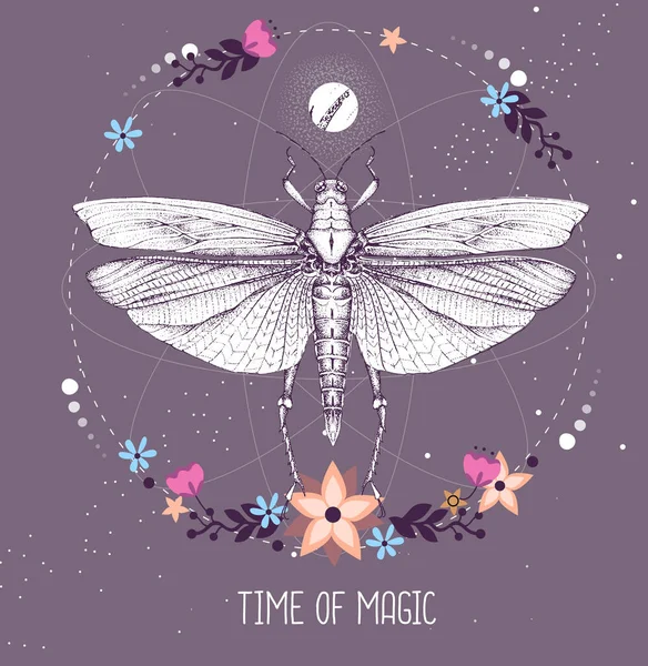 Modern Magic Witchcraft Taros Card Grasshopper Astrology Background Vector Illustration — Stock Vector