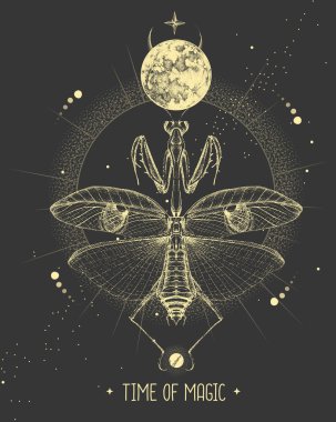 İçinde ay ve peygamberdevesi olan modern büyü kartı. El çizimi okült vektör çizimi