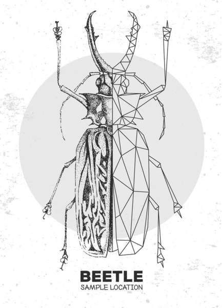 Dibujo Mano Realista Escarabajo Poligonal Sabertooth Longhorn Insecto Artístico Ilustración — Vector de stock