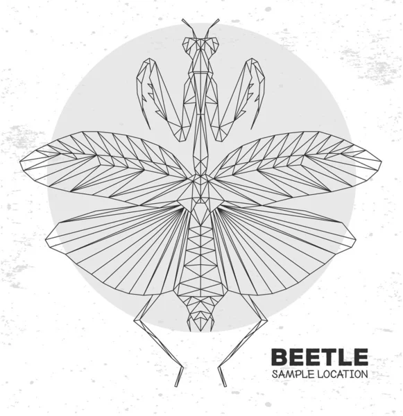 Abstracto Triángulo Poligonal Mantis Religiosa Insecto Artístico Ilustración Del Vector — Vector de stock
