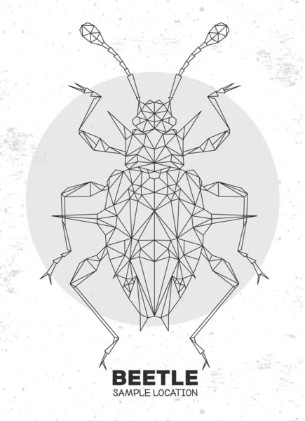 Abstract Polygonal Triangle Endomychidae Beetle Artistic Bug Entomological Vector Illustration — Stock Vector
