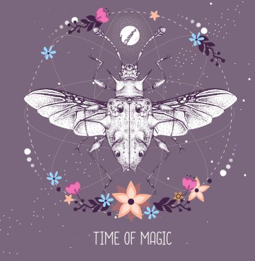 Astroloji arka planında Endomychidae böceği olan modern büyücü taros kartı. Vektör illüstrasyonu