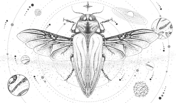 Moderna Carta Magica Stregoneria Con Sistema Solare Coleottero Tricolore Belionota — Vettoriale Stock