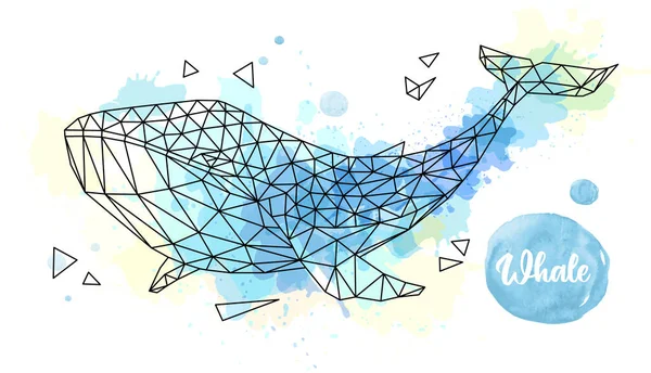 Hipster Baleine Polygonale Sur Fond Aquarelle Artistique Illustration Vectorielle — Image vectorielle