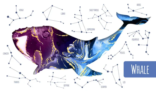 Silueta Ballena Mágica Moderna Con Fondo Tinta Alcohol Interior Fondo — Vector de stock