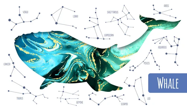 Nowoczesna Magiczna Sylwetka Wieloryba Tłem Tuszu Alkoholowego Środku Tło Mapy — Wektor stockowy
