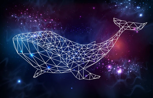 海切斯特多角形鲸鱼轮廓外太空背景 矢量说明 — 图库矢量图片