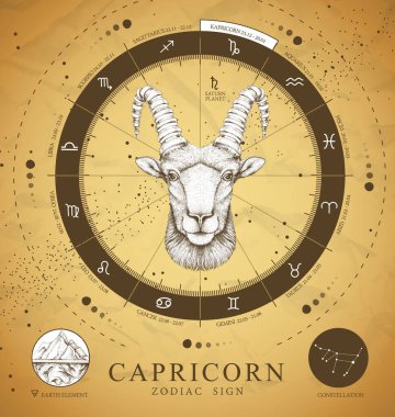 Astroloji burcunun burcunun işaretli olduğu klasik büyü kartı. Gerçekçi el çizimi koçbaşı ya da muflon kafası. Zodiac karakteristiği