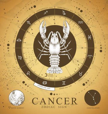 Astroloji, kanser burcunun işaretli olduğu klasik büyü kartı. Gerçekçi el çizimi yengeç çizimi. Zodiac karakteristiği