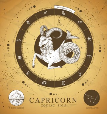 Astroloji burcunun burcunun işaretli olduğu klasik büyü kartı. Gerçekçi el çizimi koçbaşı ya da muflon kafası. Zodiac karakteristiği