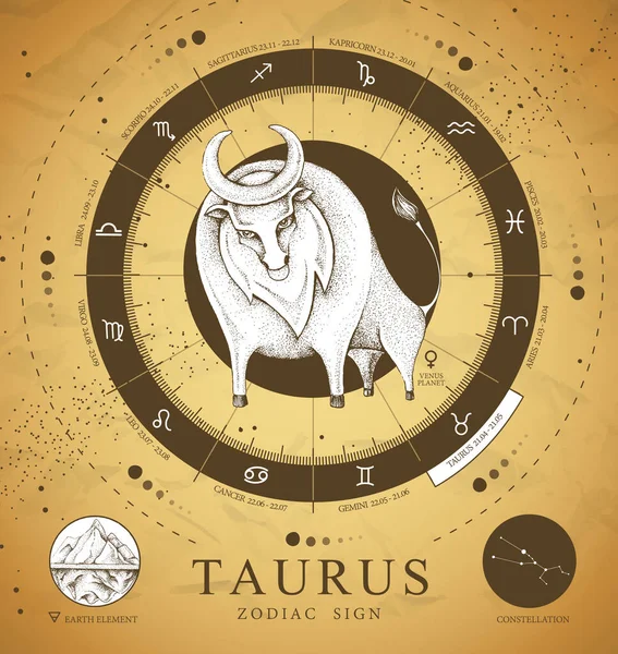 Magiczna Karta Magiczna Astrologią Znak Zodiaku Taurus Realistyczna Ręka Rysująca — Wektor stockowy