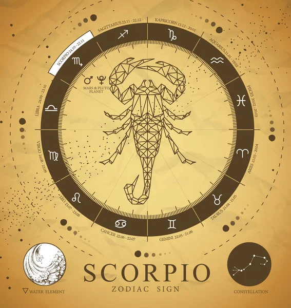 Vintage Magic Witchcraft Card Astrology Scorpio Zodiac Sign Polygonal Scorpion — Stock Vector