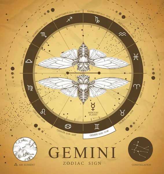 Vintage Μαγική Κάρτα Ζώδιο Gemini Zodiac Αστρολογία Ρεαλιστική Ζωγραφίζει Πεταλούδα — Διανυσματικό Αρχείο