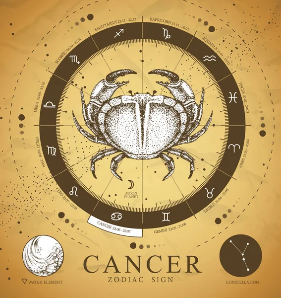 Magiczna Karta Magiczna Astrologią Znak Zodiaku Raka Realistyczny Ręczny Rysunek — Wektor stockowy