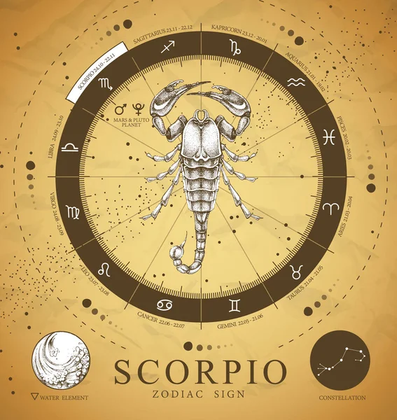 Vinatge Μαγική Κάρτα Ζώδιο Σκορπιό Zodiac Αστρολογία Ρεαλιστική Απεικόνιση Σκορπιός — Διανυσματικό Αρχείο