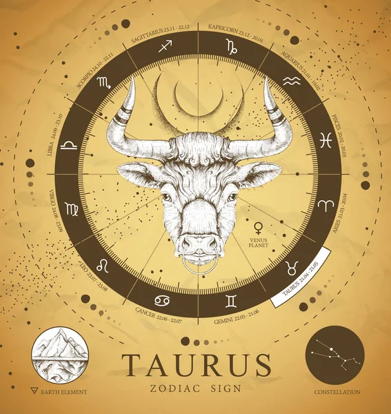 Vintage Magic Noituus Kortti Astrologia Taurus Horoskooppi Realistinen Käsi Piirustus — vektorikuva