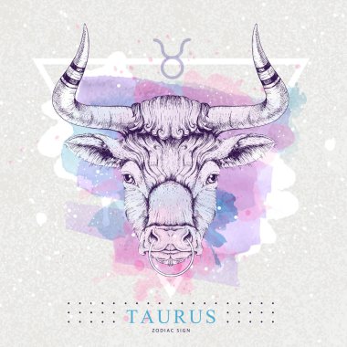 Sanatsal suluboya arka planda astroloji Taurus burcuna sahip modern büyü büyücülük kartı. Gerçekçi el boğa kafası çiziyor.
