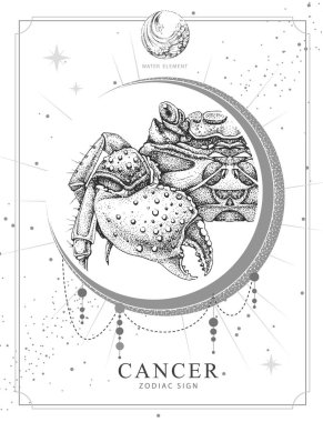 Astroloji burcuyla modern büyü kartı. Kanser burcu. Gerçekçi el çizimi yengeç çizimi