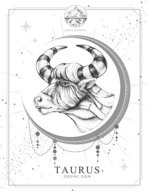 Astroloji burcu Taurus burçlu modern büyü kartı. Gerçekçi el boğa kafası çiziyor.