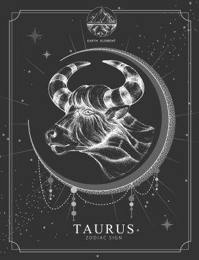 Astroloji burcu Taurus burçlu modern büyü kartı. Gerçekçi el boğa kafası çiziyor.
