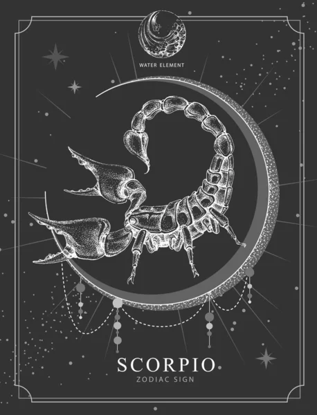 带有占星术天蝎座黄道带星座的现代魔法魔卡 现实的手绘蝎子图解 — 图库矢量图片