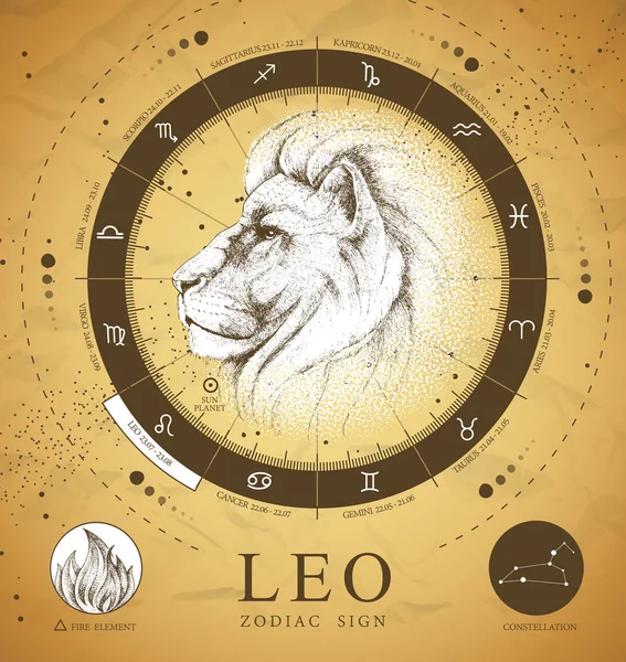 Magiczna Karta Magiczna Astrologią Leo Zodiaka Realistyczna Ręka Rysująca Głowę — Wektor stockowy