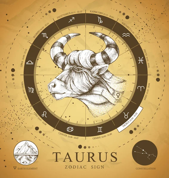 Vintage Magic Witchcraft Card Astrology Taurus Zodiac Sign Realistic Hand — Stock Vector