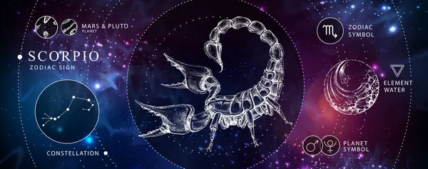 현대의 점성술의 전갈좌 황도대 별자리 손으로 전갈의 삽화를 그리는 십이궁의 — 스톡 벡터