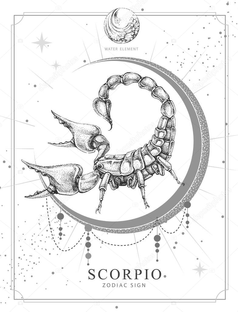 Modern magic witchcraft card with astrology Scorpio zodiac sign. Realistic hand drawing scorpion illustration