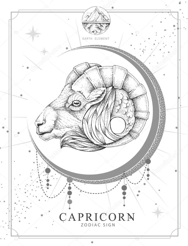 Modern magic witchcraft card with astrology Capricorn zodiac sign. Realistic hand drawing ram or mouflon head