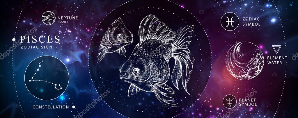 Modern magic witchcraft card with astrology Pisces zodiac sign. Realistic hand drawing koi fish illustration. Zodiac characteristic