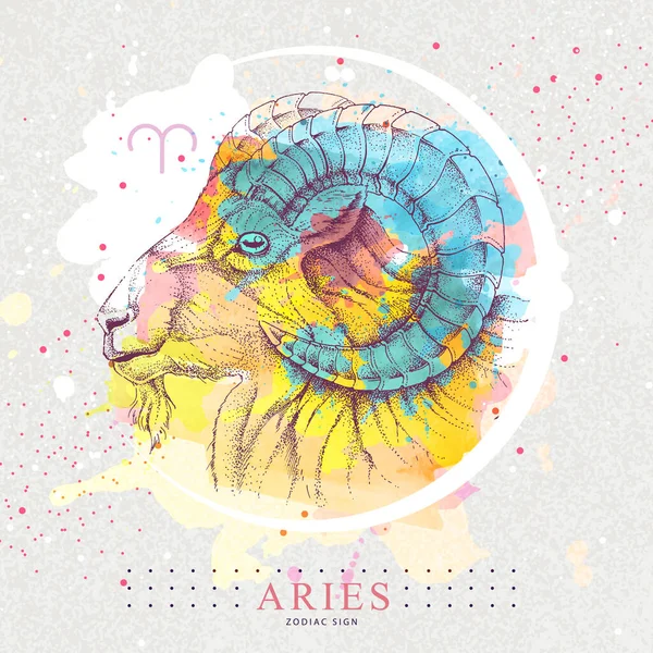 Tarjeta Brujería Mágica Moderna Con Astrología Signo Zodiacal Aries Dibujo — Vector de stock