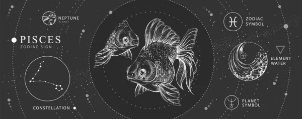 Moderna Magiska Häxkonster Kort Med Astrologi Pisces Zodiac Tecken Realistisk — Stock vektor