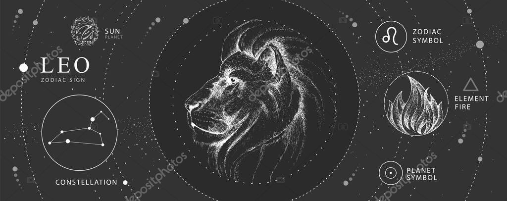 Modern magic witchcraft card with astrology Leo zodiac sign. Realistic hand drawing lion head. Zodiac characteristic