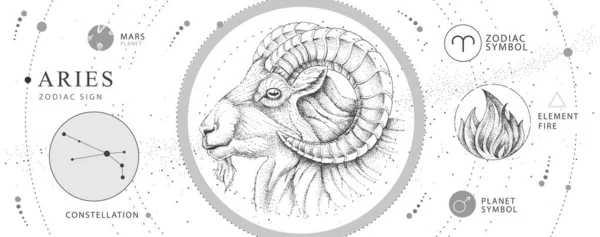 Modern Magi Trolldom Kort Med Astrologi Vädur Zodiak Tecken Realistisk — Stock vektor