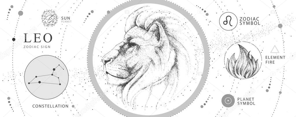 Modern magic witchcraft card with astrology Leo zodiac sign. Realistic hand drawing lion head. Zodiac characteristic
